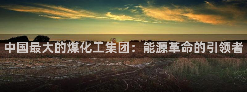 球盟会app入口：中国最大的煤化工集团：能源革命的引领者
