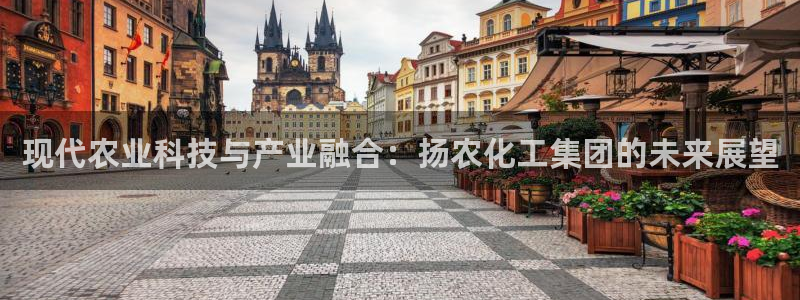 球盟会用的客服聊天是哪个软件：现代农业科技与产业融合：扬农化