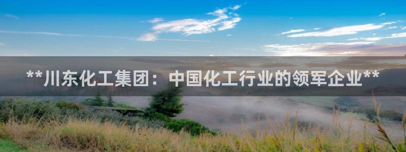 球盟会电子好黑：**川东化工集团：中国化工行业的领军企业**