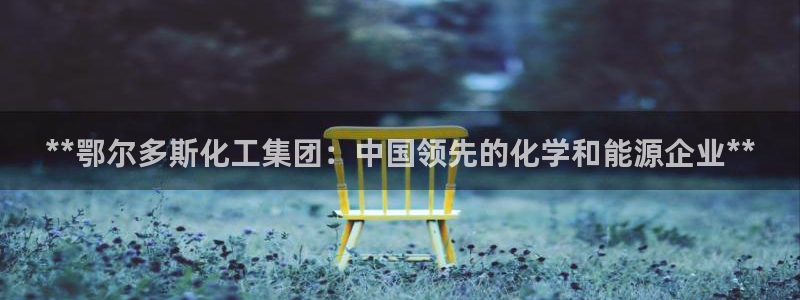 球盟会连接：**鄂尔多斯化工集团：中国领先的化学和能源企业*