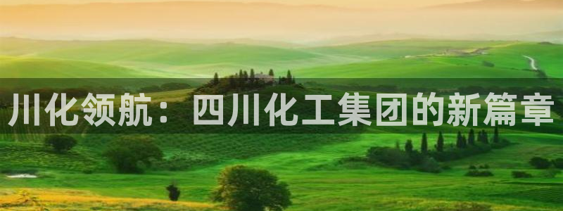 球盟会官方网站是什么：川化领航：四川化工集团的新篇章