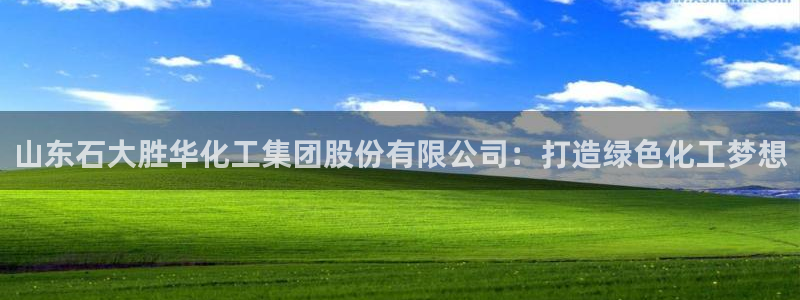球盟会qmh登录地址：山东石大胜华化工集团股份有限公司：打造