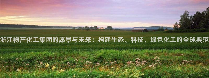 球盟会登陆：浙江物产化工集团的愿景与未来：构建生态、科技、绿