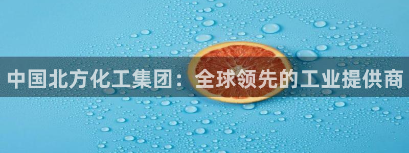 球盟会官方网站：中国北方化工集团：全球领先的工业提供商