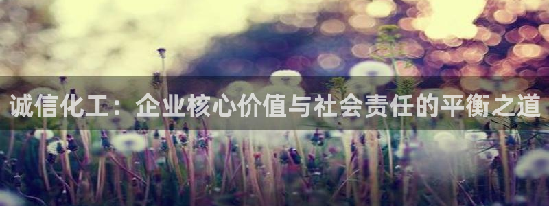 球盟会类似的网站：诚信化工：企业核心价值与社会责任的平衡之道