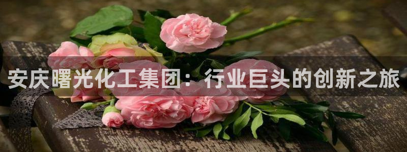 球盟会可以提现么