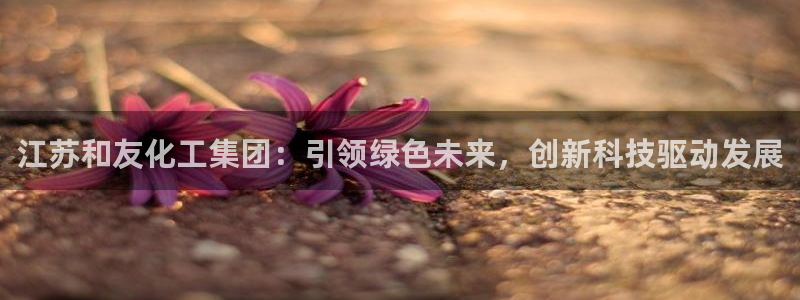球盟会APP下载：江苏和友化工集团：引领绿色未来，创新科技驱