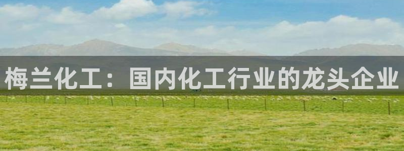 球盟会在线官网