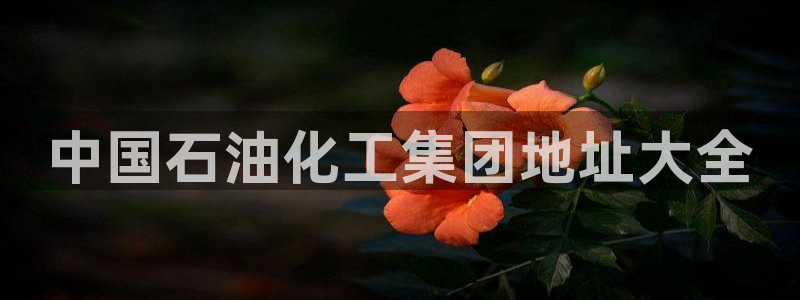 球盟会app最新地址在哪看