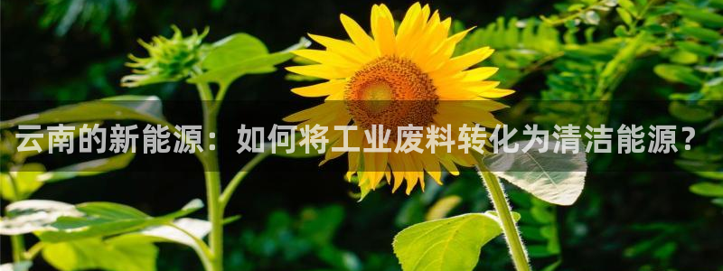 球盟会网页登录：云南的新能源：如何将工业废料转化为清洁能源？