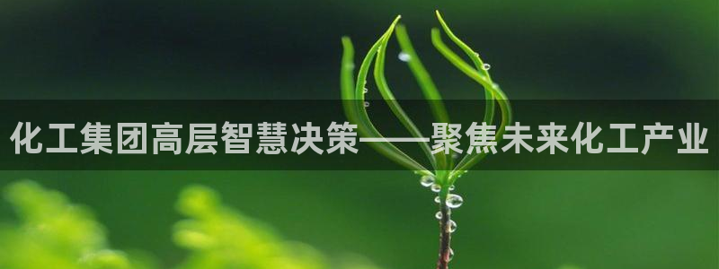 球盟会优惠券：化工集团高层智慧决策——聚焦未来化工产业