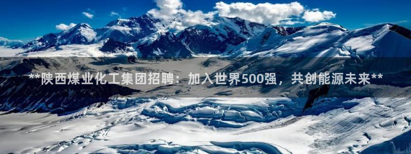 球盟会有限公司怎么样：**陕西煤业化工集团招聘：加入世界50