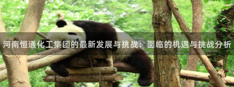 球盟会黑嘛：河南恒通化工集团的最新发展与挑战：面临的机遇与挑