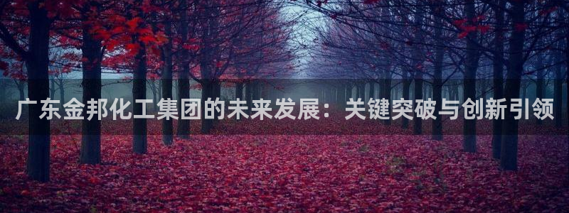 球盟会qm9：广东金邦化工集团的未来发展：关键突破与创新引领
