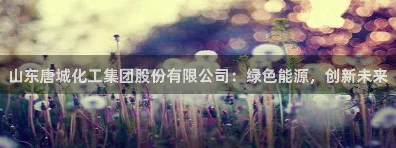 球盟会综合app下载：山东唐城化工集团股份有限公司：绿色能源