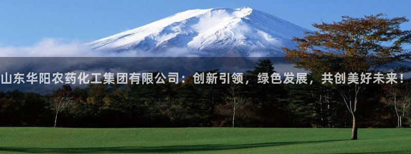 球盟会几点玩合适：山东华阳农药化工集团有限公司：创新引领，绿