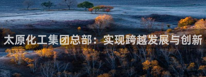 球盟会官方客服：太原化工集团总部：实现跨越发展与创新