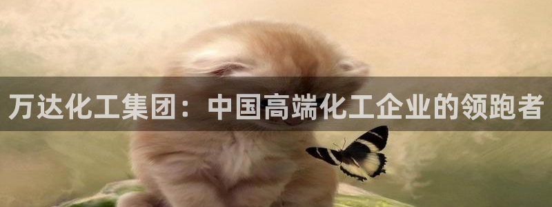 球盟会黑嘛：万达化工集团：中国高端化工企业的领跑者