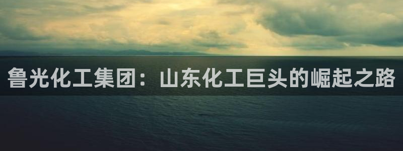 球盟会qmh电子网页版登录