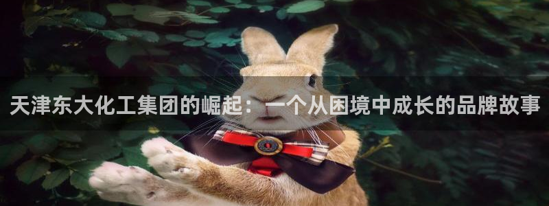 球盟会官方网址入口：天津东大化工集团的崛起：一个从困境中成长