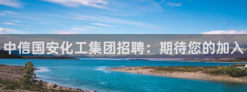 球盟会手机网页版：中信国安化工集团招聘：期待您的加入