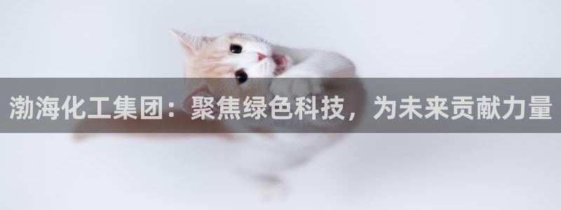 球盟会黑台：渤海化工集团：聚焦绿色科技，为未来贡献力量