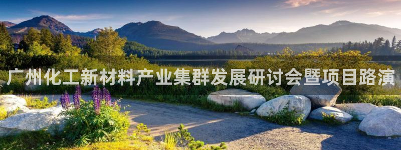 球盟会手机网页版：广州化工新材料产业集群发展研讨会暨项目路演