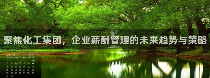 球盟会在线网站：聚焦化工集团，企业薪酬管理的未来趋势与策略