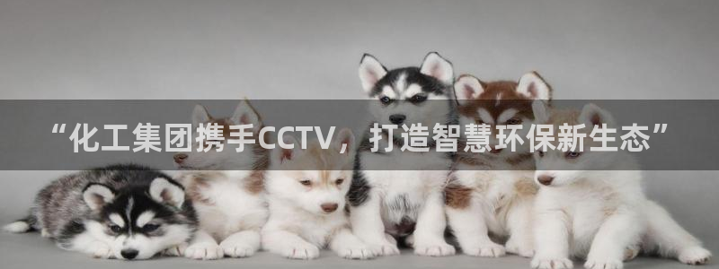 球盟会官方登录平台：“化工集团携手CCTV，打造智慧环保新生
