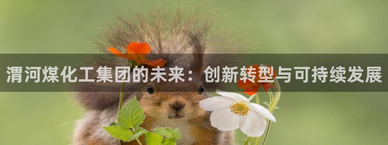 球盟会qm8597：渭河煤化工集团的未来：创新转型与可持续发