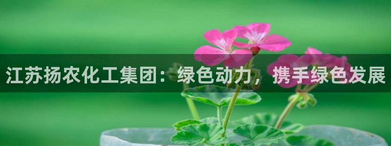 球盟会中国网页登录：江苏扬农化工集团：绿色动力，携手绿色发展