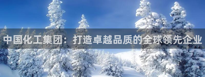 球盟会进不去：中国化工集团：打造卓越品质的全球领先企业