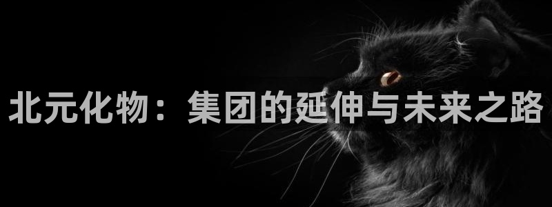 球盟会福利码2023最简单三个步骤：北元