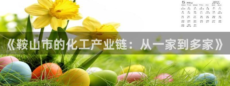 球盟会类似的网站：《鞍山市的化工产业链：从一家到多家》