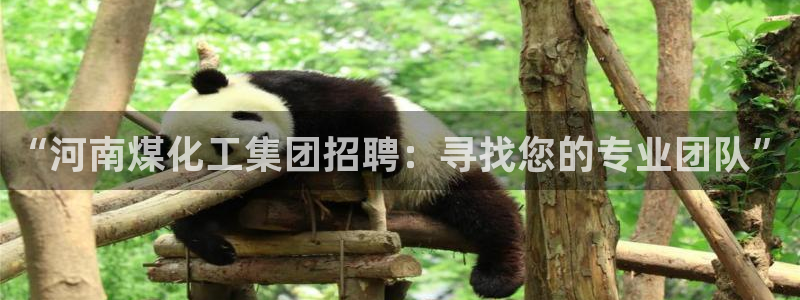 球盟会app手机登录