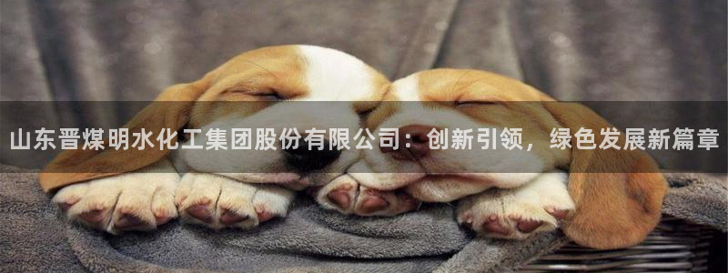 球盟会app网址多少号