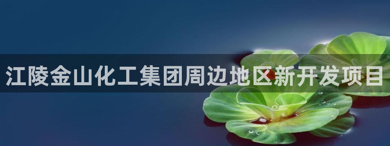 球盟会电子游戏平台