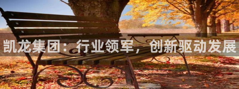 球盟会官方下载