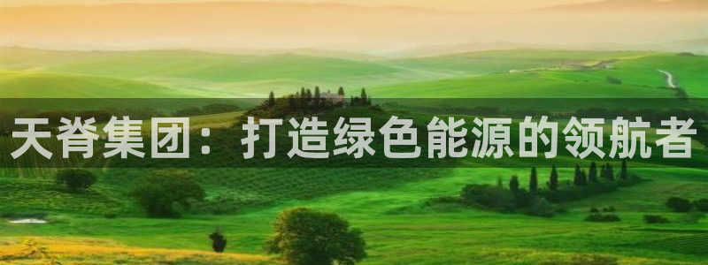 球盟会官方客服：天脊集团：打造绿色能源的领航者