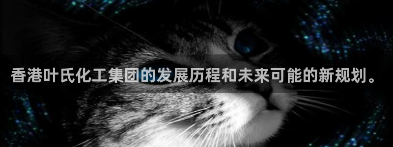 球盟会官方：香港叶氏化工集团的发展历程和未来可能的新规划。