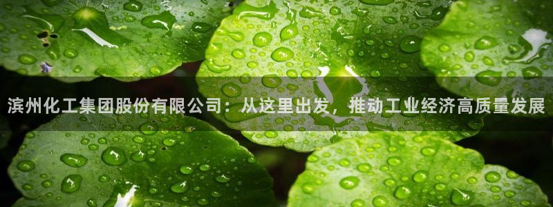 球盟会黑款吗：滨州化工集团股份有限公司：从这里出发，推动工业