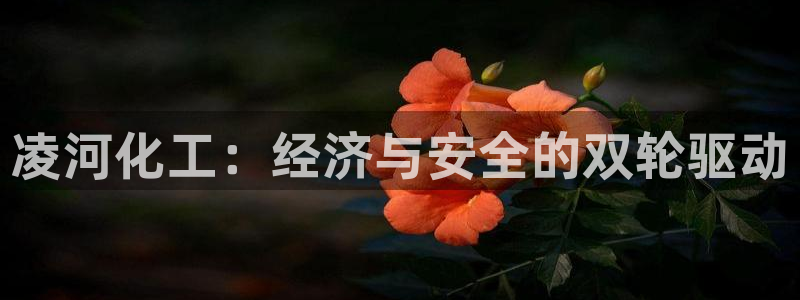 千亿球盟会乐玩