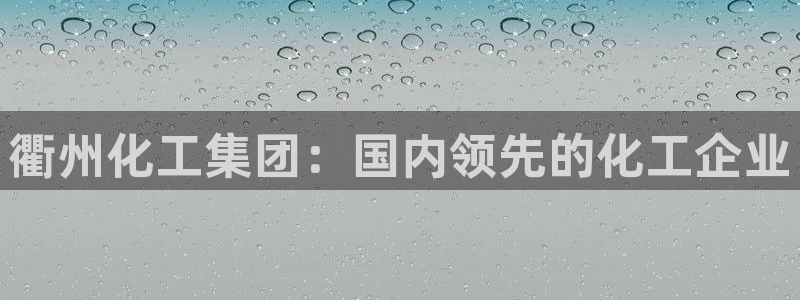 球盟会用的客服聊天是哪个软件