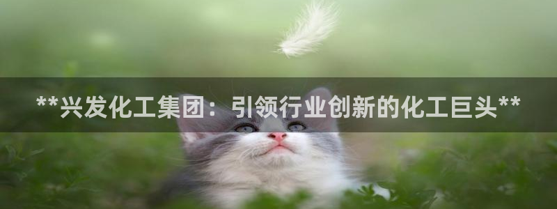 球盟会qmh官网：**兴发化工集团：引领行业创新的化工巨头*