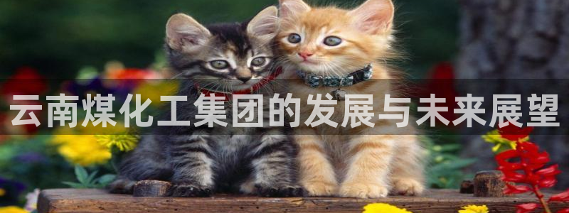 球盟会综合体育平台