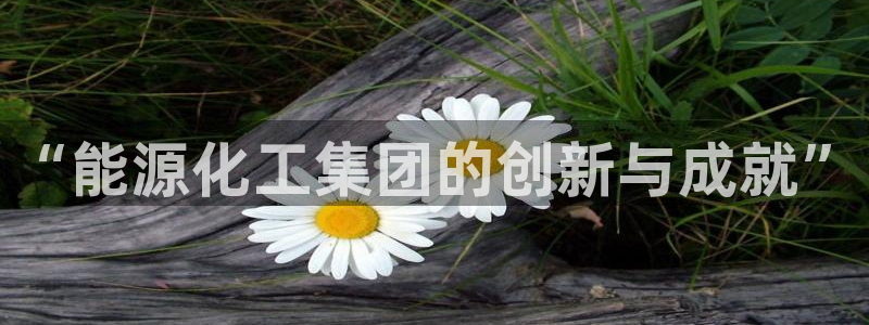 球盟会电子游戏平台：“能源化工集团的创新与成就”