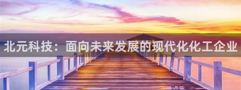 球盟会和中欧：北元科技：面向未来发展的现代化化工企业