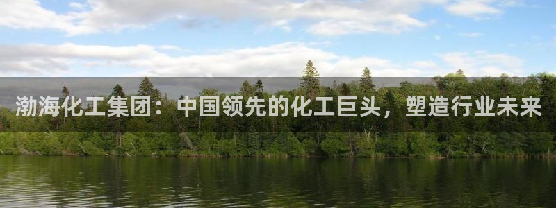 球盟会进不去球员吗：渤海化工集团：中国领