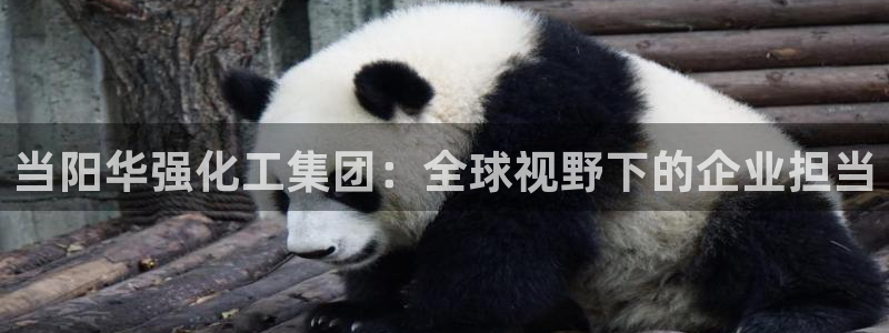 球盟会黑款吗：当阳华强化工集团：全球视野下的企业担当