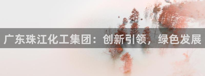 球盟会进不去吗